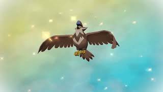 Evolving Shiny Staravia into Staraptor  Pokémon Legends Arceus [upl. by Aitnic]