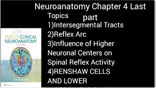 Neuronantomy Chapter 4Intersegmental TractsReflex ArcSpinal shockRenshaw cellsneurosciences [upl. by Lewison801]