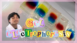 HL1 G4Gel Electrophoresis DIY20242025 [upl. by Htebazle]