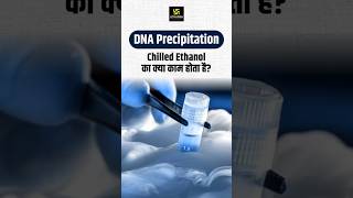 How DNA is Precipitated Using Chilled Ethanol shorts  Dr Ronak Maam [upl. by Rikki299]