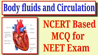 Body fluids and circulation class 11 important mcq for neet exam [upl. by Lucic]