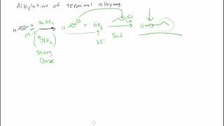 Alkylation of Terminal Alkynes V2 [upl. by Atiuqram]