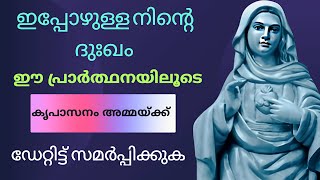 കൃപാസനം അമ്മ നിന്റെ പ്രാർത്ഥന കേൾക്കും 🙏 kripasanam kreupasanam കൃപാസനം [upl. by Ygiaf895]