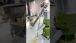 pellet machinepellet machine production linewood chip pellet machine pelletmachinefactory [upl. by Moon]