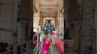 Temple3 wargal saraswathi ammavari temple minivlog trending angelcharwinavlogs [upl. by Brasca]