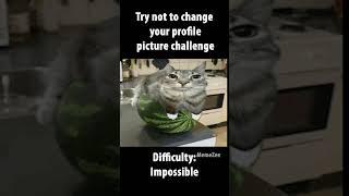 try not to change pfp challenge [upl. by Huxley]