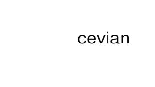 How to pronounce cevian [upl. by Eidob]