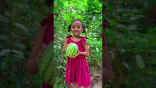 Watermelon Smoothie  How to Make Watermelon Milkshake 💖💖  Nature Village Life 😋😋😋 [upl. by Seaman975]