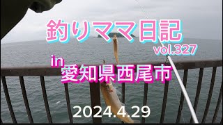 釣りママ日記vol327愛知県西尾市 [upl. by Alyam]