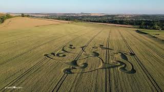 Crop Circle Etchilhampton Hill 08 08 24 [upl. by Lundberg]