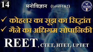 Psychology for Reet  कोहलर का सूझ का सिद्धान्त गैने अधिगम सोपानिकी  Psychology By Vivek Sir [upl. by Drexler456]