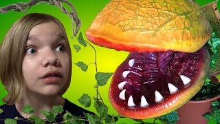 We Evolve a Giant Plant and Eat Millions of Idiots in Man Eating Plant [upl. by Hali]