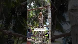 Roofing technique for vernacular hut [upl. by Enrobialc]