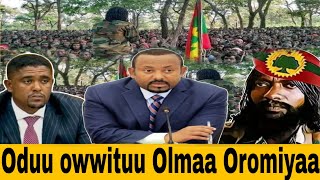 ODUU AFAAN OROMOO GUYYAA HARAA bbcafanoromo ethiopiannews [upl. by Ylrebmit]