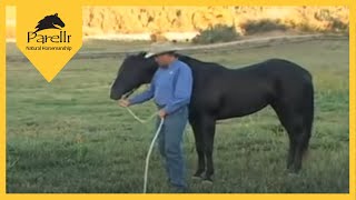 Parelli Natural Horse Training Tip  Pat Parelli shows how to lead a horse [upl. by Ayhtin]