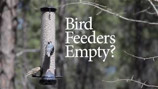 Wild Birds Unlimited  Bird Feeders Empty [upl. by Aset]