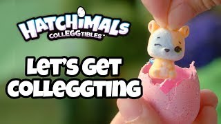 Hatchimals Colleggtibles  Lets Get Colleggting [upl. by Fechter]