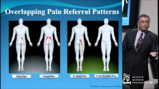 Sacroiliac Joint Pain Diagnosis and Treatments [upl. by Hsevahb]