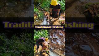 how to catch shrimps and crabs from the stream in a traditional way trending shortsviral [upl. by Pearman913]