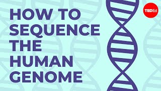 How to sequence the human genome  Mark J Kiel [upl. by Cohlier]