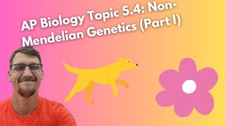 54 NonMendelian Genetics  AP Biology [upl. by Levin]