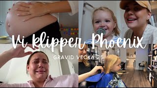 GRAVID VECKA 25  VI KLIPPER PHOENIX [upl. by Mehsah]