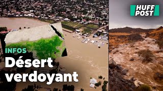 Le Sahara est inondé depuis des semaines et les répercussions sont visibles du ciel [upl. by Aihppa431]