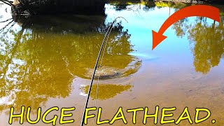 MONSTER FLATHEAD EPIC BATTLE ON LIGHT TACKLE [upl. by Boniface]