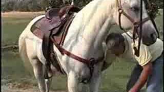 Ranch Riding Attire and Tack  Terry Myers [upl. by Gannon]