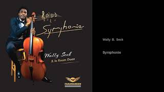 Wally B Seck  Symphonie  feat Le Raam Daan [upl. by Tannie340]