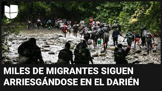 Migrantes se arrepienten de cruzar la selva de Darién para llegar a EEUU quotNos robaron todoquot [upl. by Pepito897]