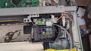 Epson 38803800P600P800 Damper and Print Head removal [upl. by Lav825]