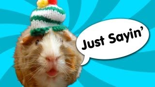 Guinea Pig Speaks Out  Ricky Gervais [upl. by Anelec]