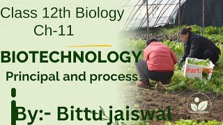 biotechnology principal and process questions answer । biotechnology principles and processes [upl. by Karrie]