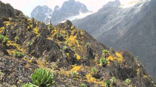 Ruwenzori 5109m Margherita Peak [upl. by Elly]