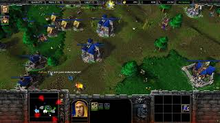 Warcraft 3 Scourge of Lordaeron REWORKED The Dark Knight  05 [upl. by Sldney]