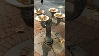 Wheres the quotBubblerquot Quick History of Drinking Fountains  Marcs Misc Short [upl. by Nelda356]