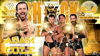 WWE NXT Adam Cole amp The UNDISPUTED ERA Theme Song 2021  Lyrics amp BAYBAY Chant Ft Josiah Williams [upl. by Gambrill]