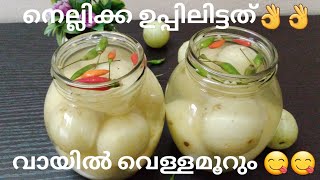 വായിൽ വെള്ളമൂറും നെല്ലിക്ക ഉപ്പിലിട്ടത്😋😋  Kerala style Nellikka Uppilittathu  Malayalam Recipe [upl. by Ailicec]