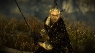 Kayran Boss Fight  The Witcher 2 Assassins of Kings  1080p 60FPS No Commentary [upl. by Nilok713]