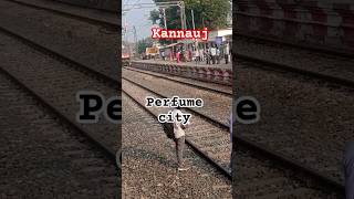 Kannauj etra nagar indian railway train reels travel tranding love viral Official Rajveer [upl. by Killian252]