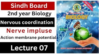 action membrane potential complete  nervous coordination  class 12 biology Sindh board New book [upl. by Notniuq]