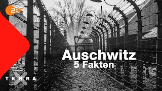 5 Fakten die ihr über Auschwitz wissen solltet  Terra X [upl. by Analiese417]