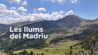 Les llums del Madriu [upl. by Forelli158]