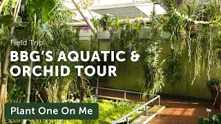 Tour Brooklyn Botanic Gardens AQUATIC amp ORCHID House [upl. by Araiet]