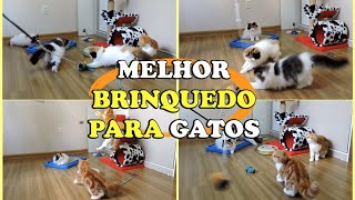 MELHOR BRINQUEDO PARA GATOS  Jackson Galaxy  Gatil Hauser [upl. by Zerat613]