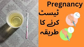 Pregnancy test  Pregnancy Test kaise karte hain  how to check pregnancy test at home [upl. by Gnud]