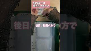 2410月第5週〆102831お財布リセット30代一人暮らし事務系会社員の家計管理家計簿貯金なし休職適応障害 saving savingmoney shorts [upl. by Emeric]