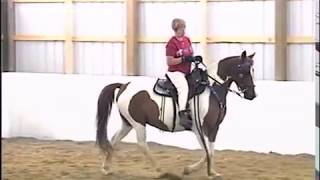 Locking Stifle Syndrome in the Gaited Horse [upl. by Hennebery731]