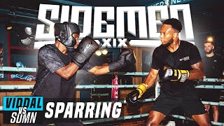 VIDDAL RILEY VS THE SIDEMEN FULL SPARRING [upl. by Annaiek]